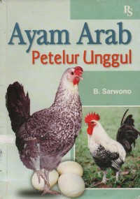 Ayam Arab Petelur Unggul