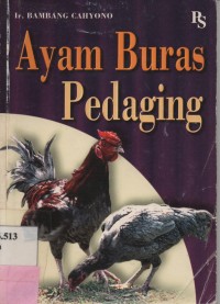 Ayam Buras Pedaging