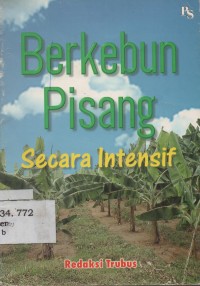 Berkebun Pisang Secara Intensif