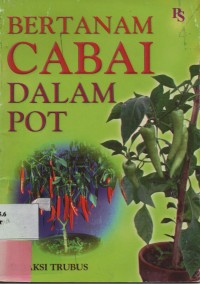 Bertanam Cabai Dalam Pot