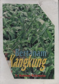 Bertanam Kangkung