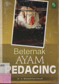 Beternak Ayam Pedaging