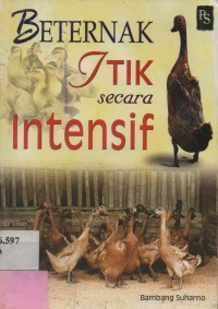 Beternak Itik Secara Intensif