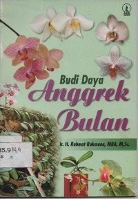 Budidaya Anggrek Bulan