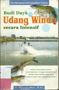 Budidaya Udang Windu Secara Intensif