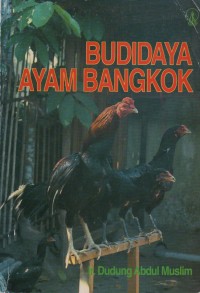 Budidaya Ayam Bangkok