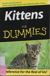 Kittens For Dummies