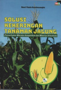 Solusi Kekeringan Tanaman Jagung (Pemanfaatan Mikroba Azospirillum dan Mikroba Arbuskula)