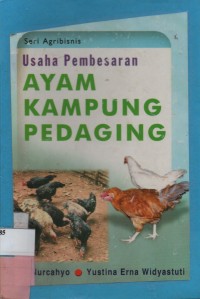 Usaha Pembesaran Ayam Kampung Pedaging