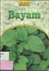 Bayam