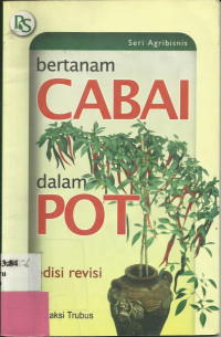 Bertanam Cabai dalam Pot