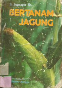 Bertanam Jagung