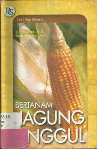 Bertanam Jagung Unggul