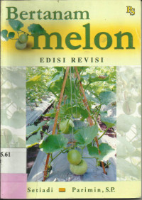 Bertanam Melon