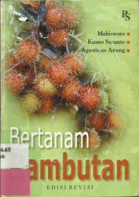 Bertanam Rambutan