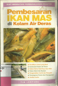 Pembesaran Ikan Mas di Kolam Air Deras